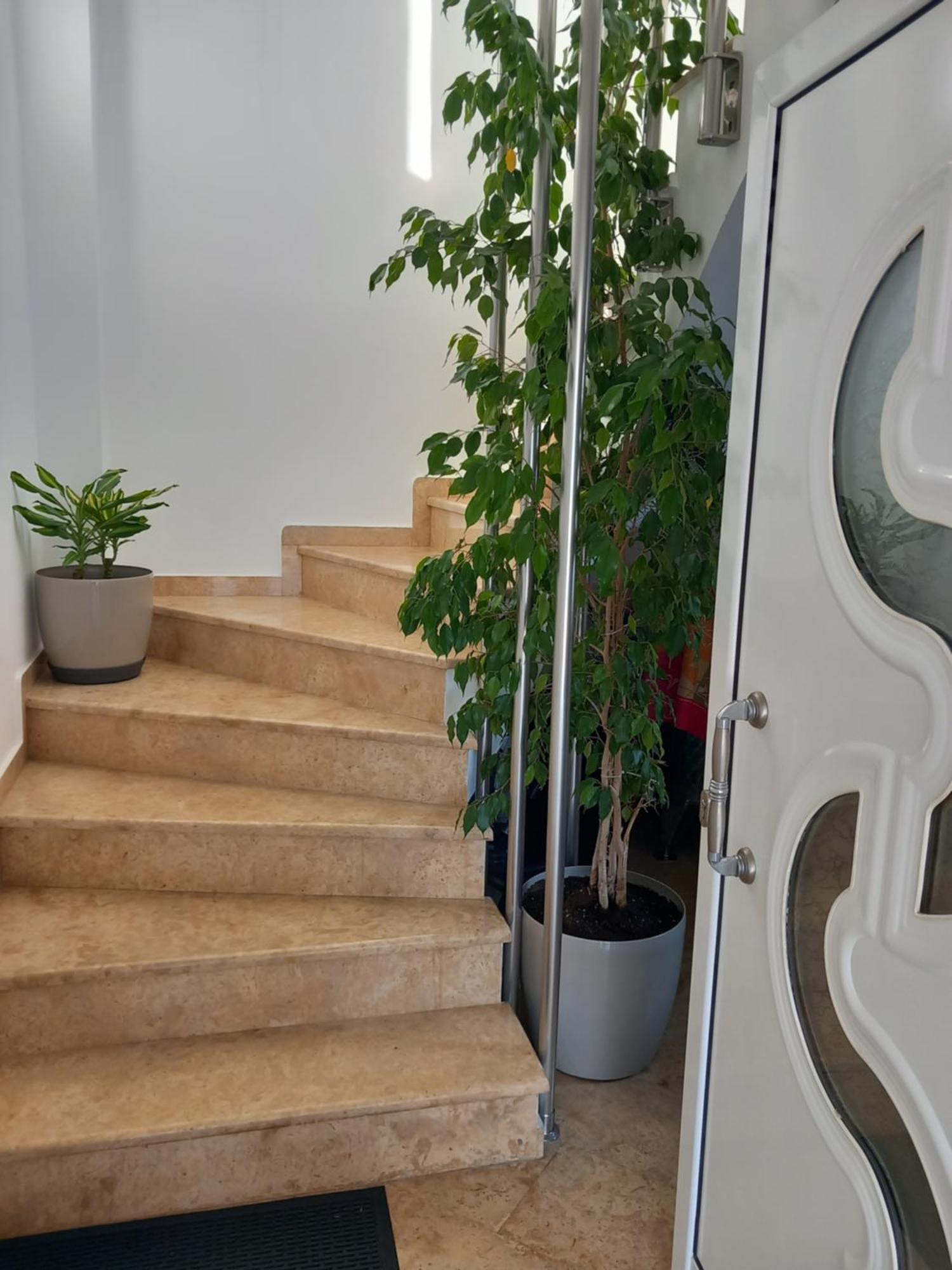 Luxury Apartment Amarynthos Bagian luar foto